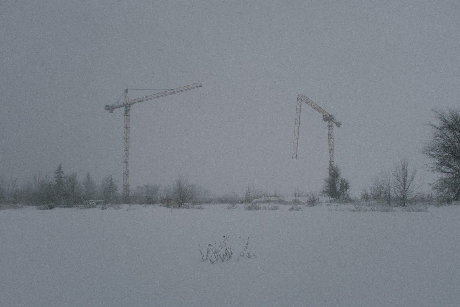 Егор Бадулин