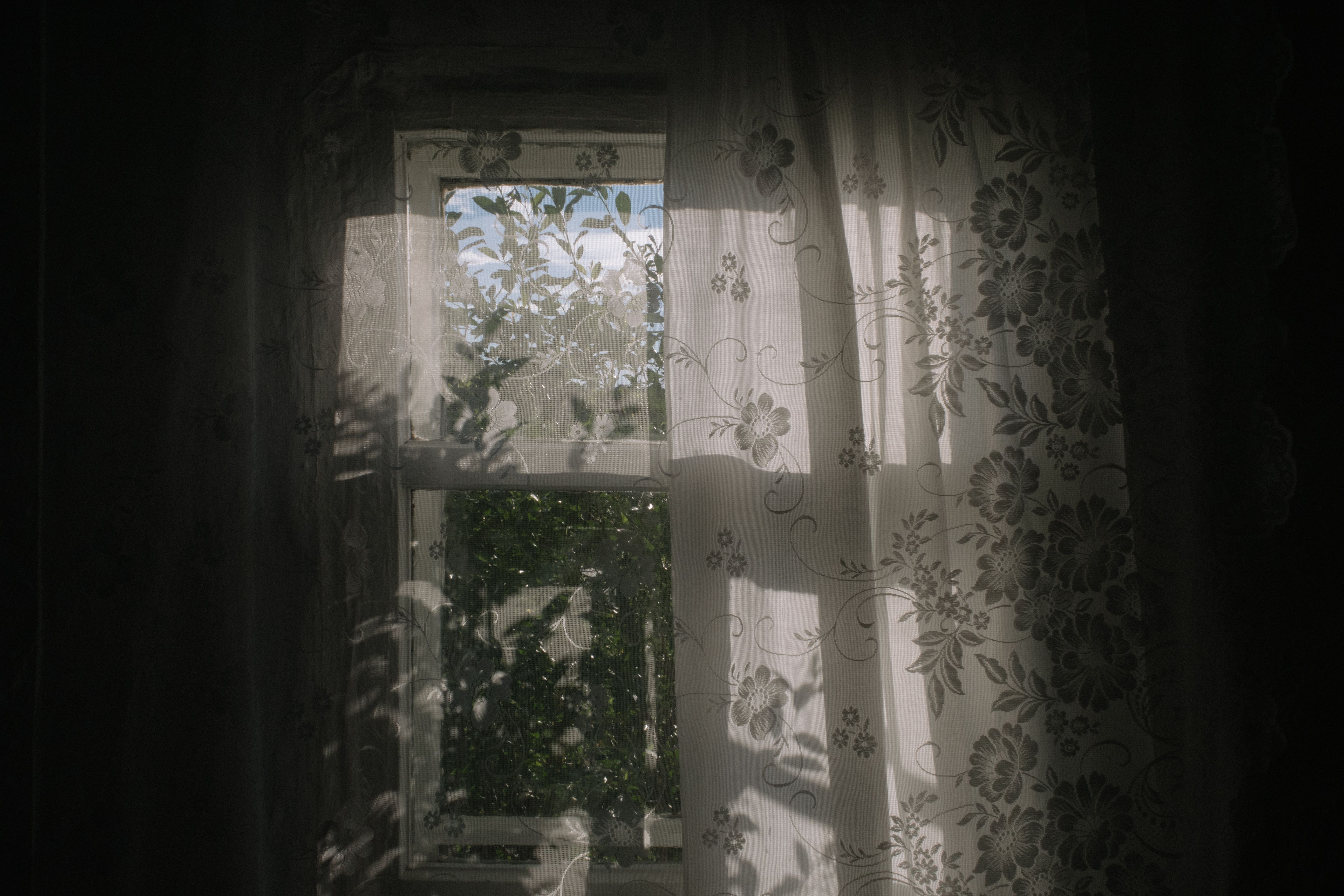Егор Бадулин