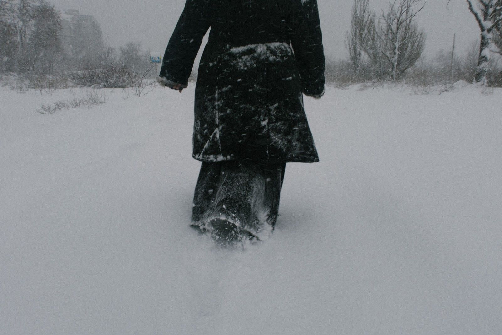 Егор Бадулин