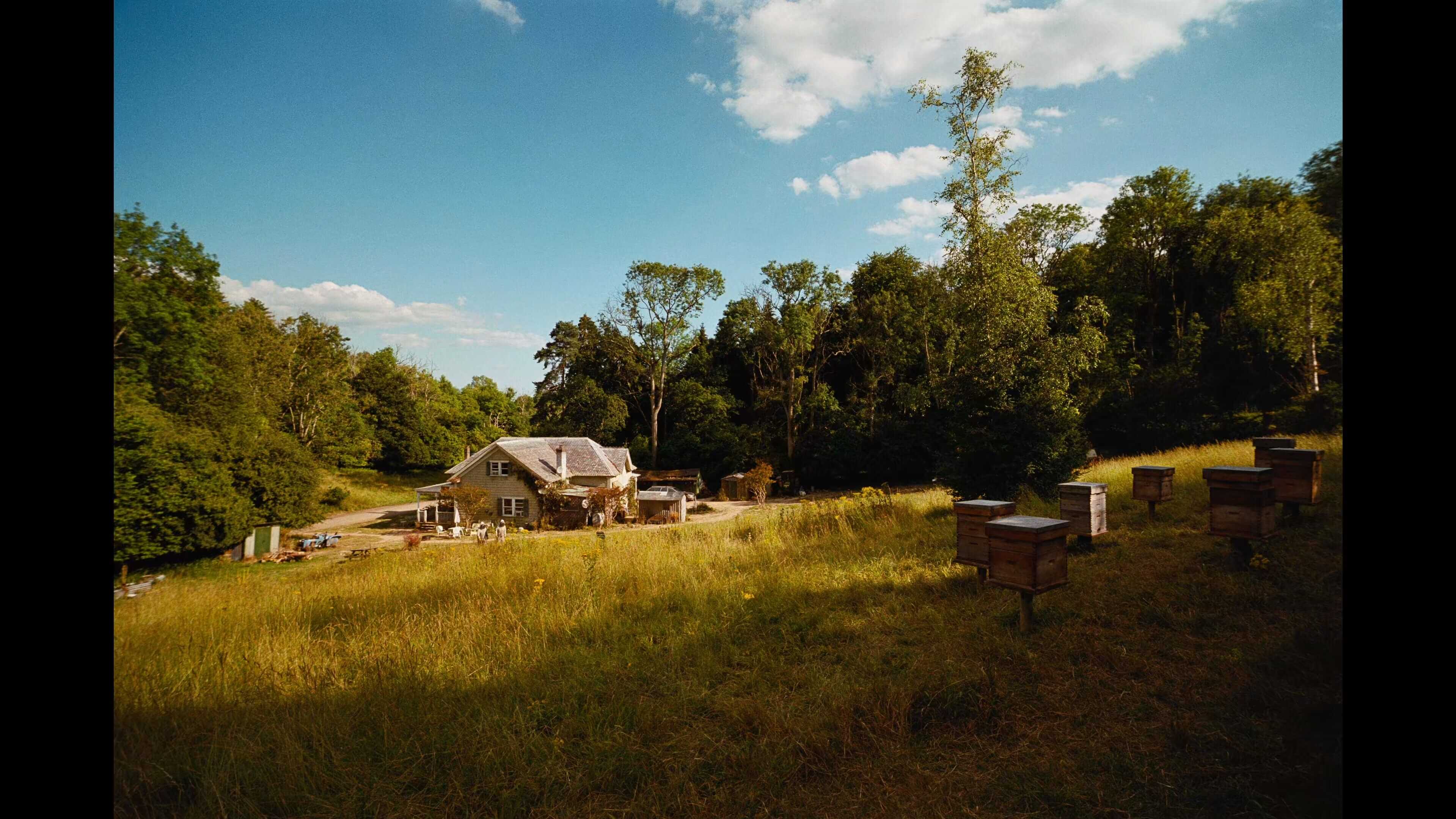провинциальный пейзаж с ульями на переднем плане и домиком на заднем