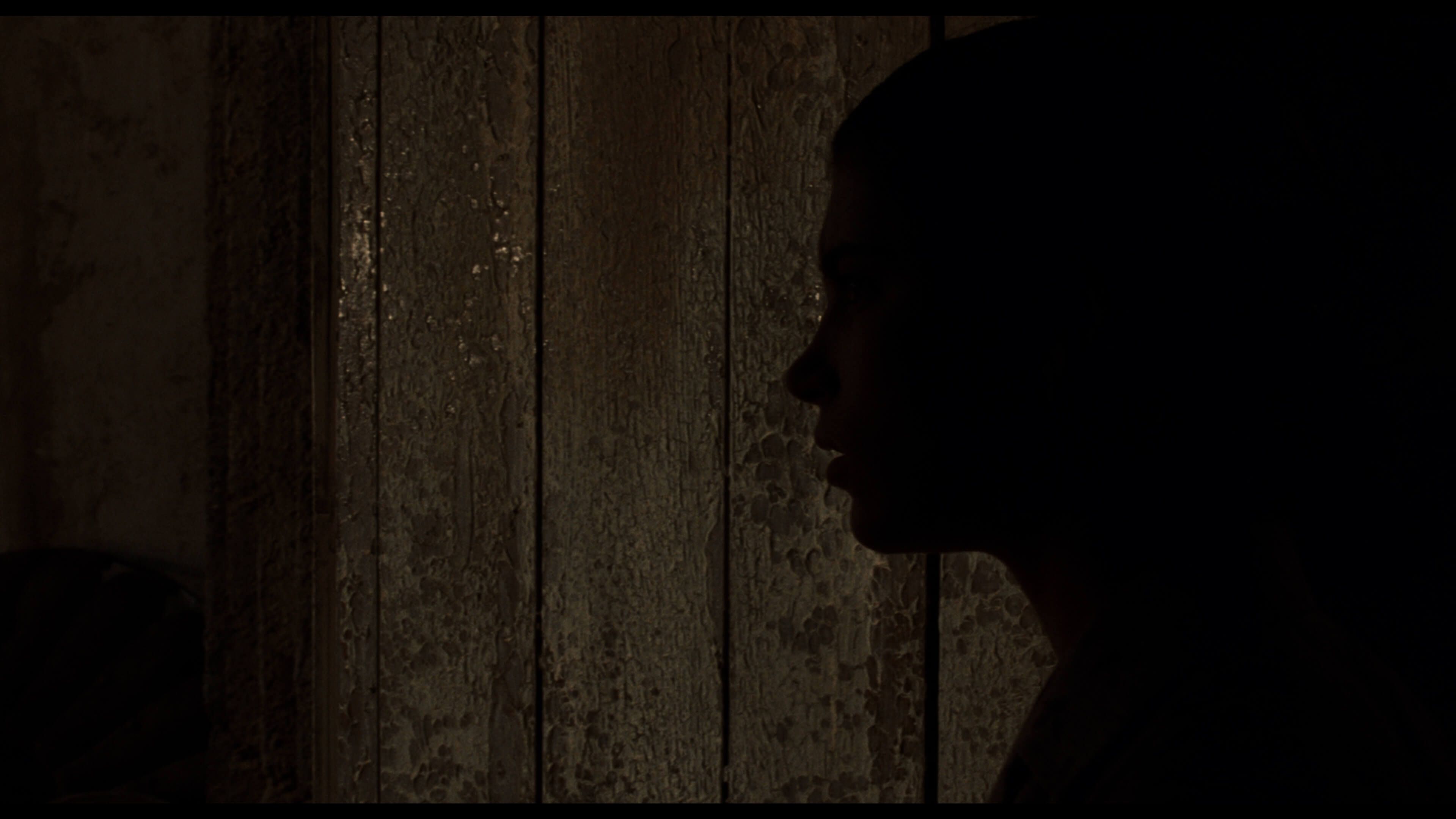 силуэт профиля девушки на фоне облупившейся двери