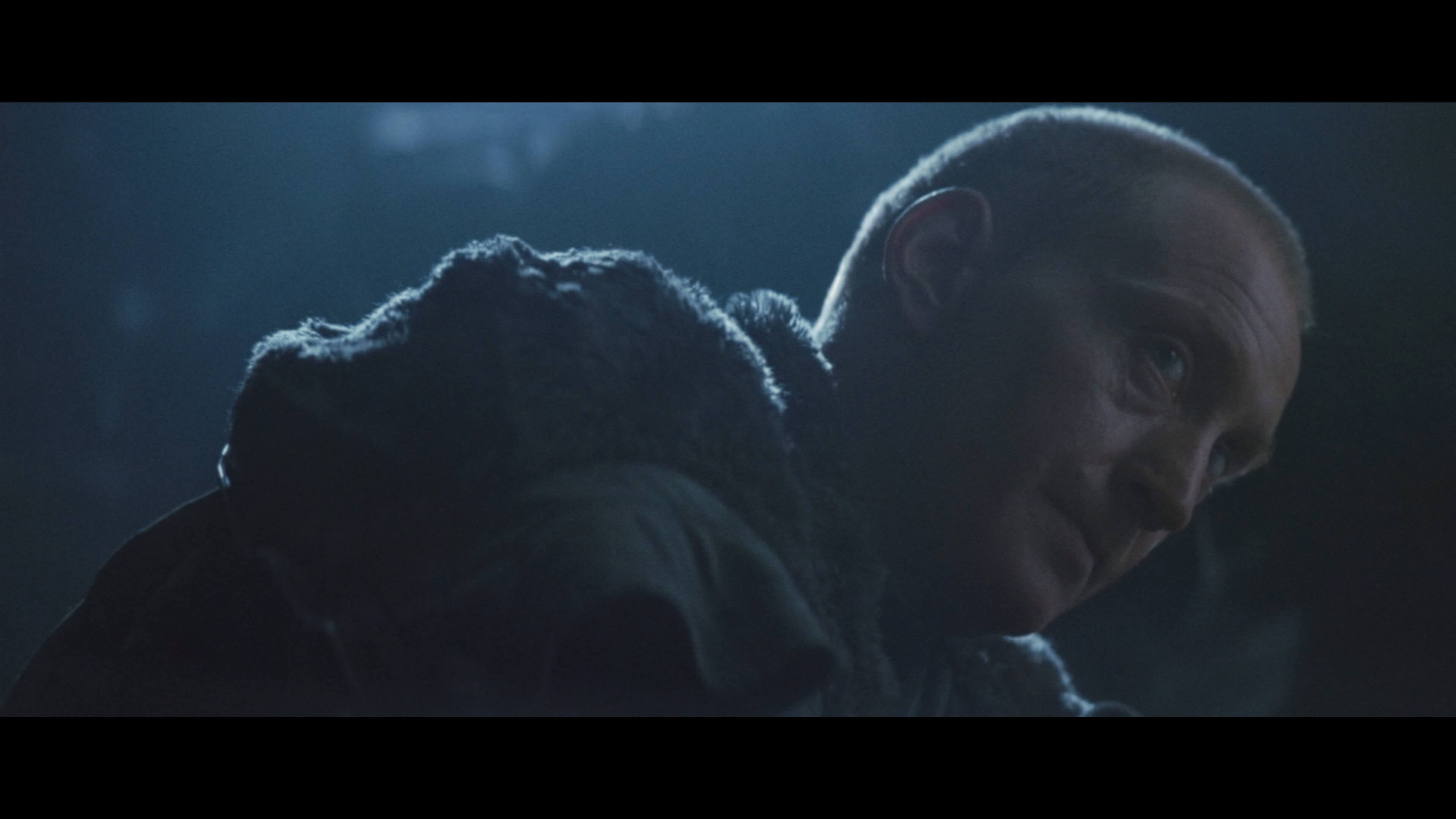 Дэвид Финчер